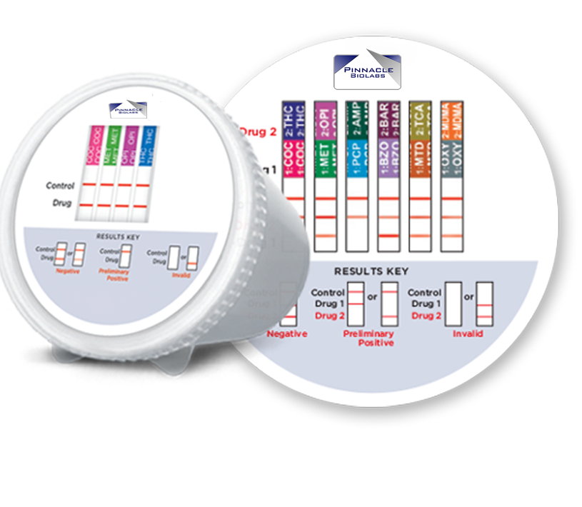 12 Panel Urine Drug Test
